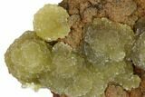 Yellow-Green Austinite Crystal Formation - Durango, Mexico #154721-1
